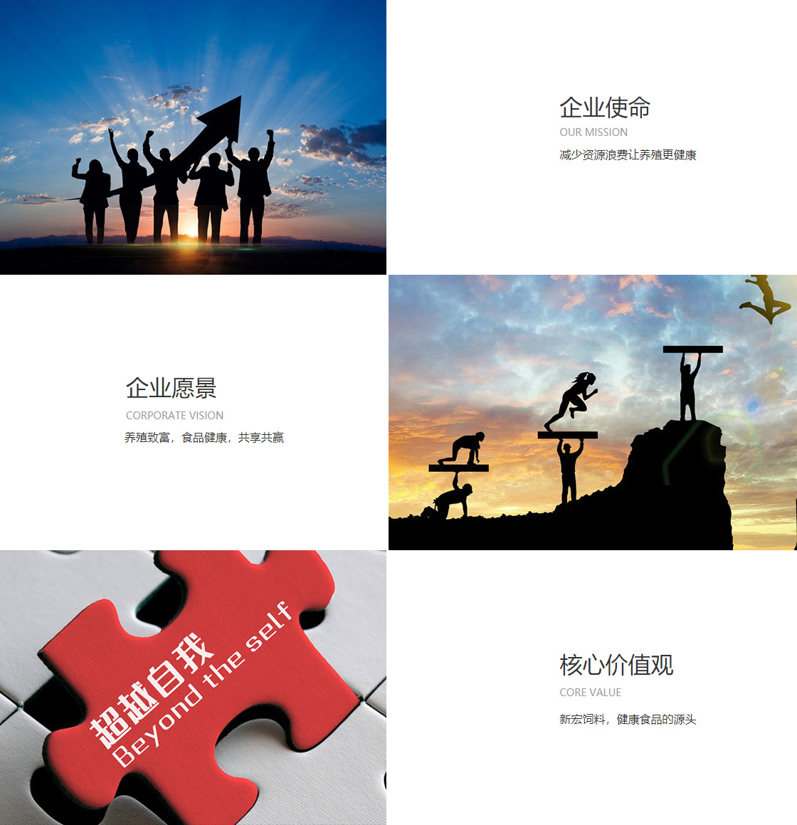 米兰体育在线下载(图1)